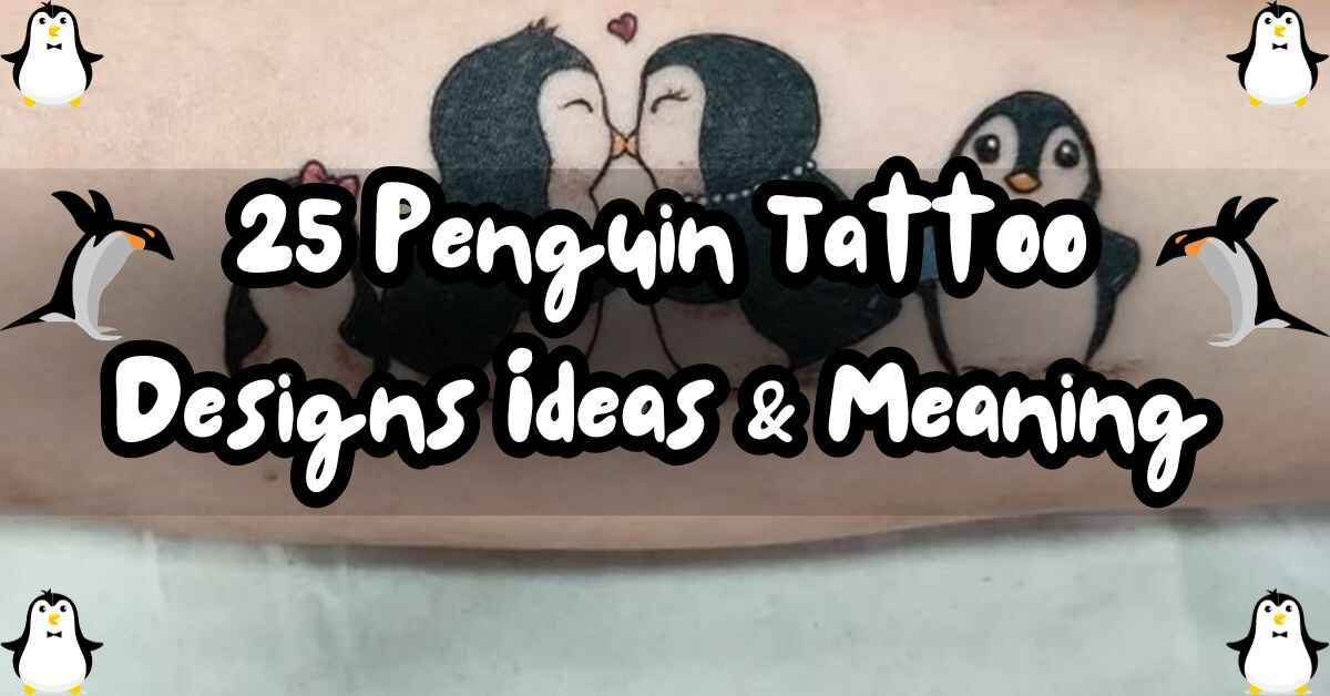 Feature image of Penguin Tattoo Designs Ideas & Meaning