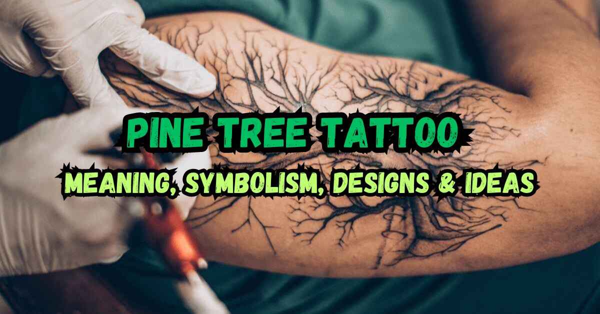 Feature image of Pine Tree Tattoo Meaning, Symbolism, Designs & Ideas