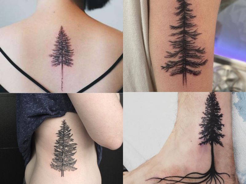 Pine tree tattoo meaning