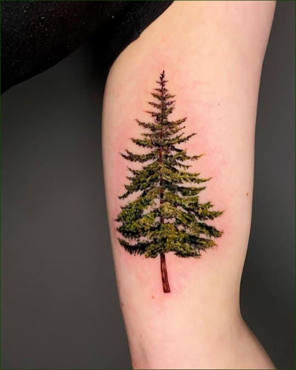 Pine trees silhouette tattoo