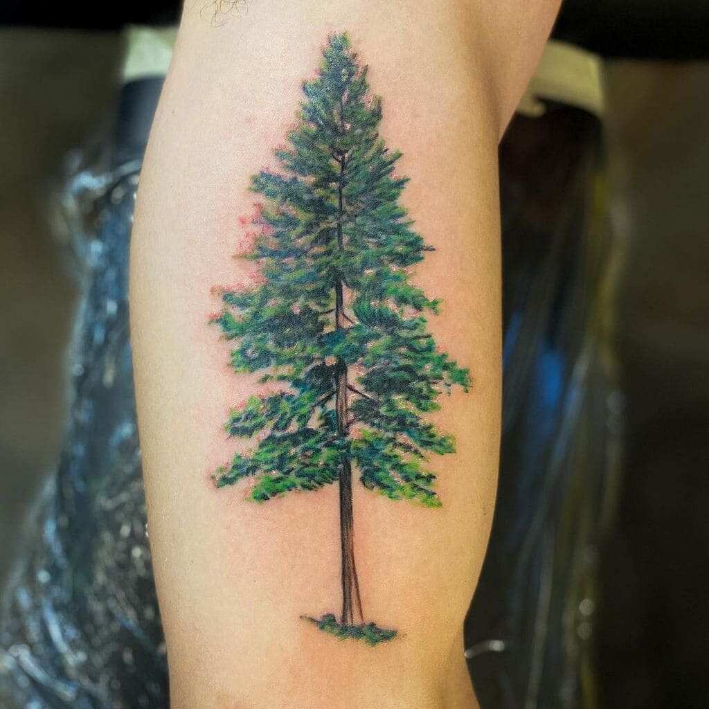 Pine tattoo tree meaning -Realistic Pine Tree