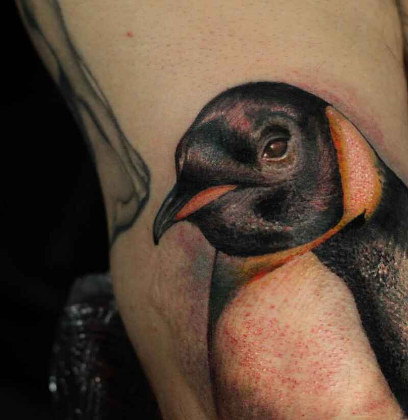 Realistic Portrait penguin tattoo image
