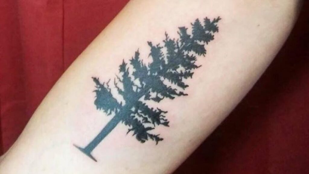 Solitary pine trees tattoo image