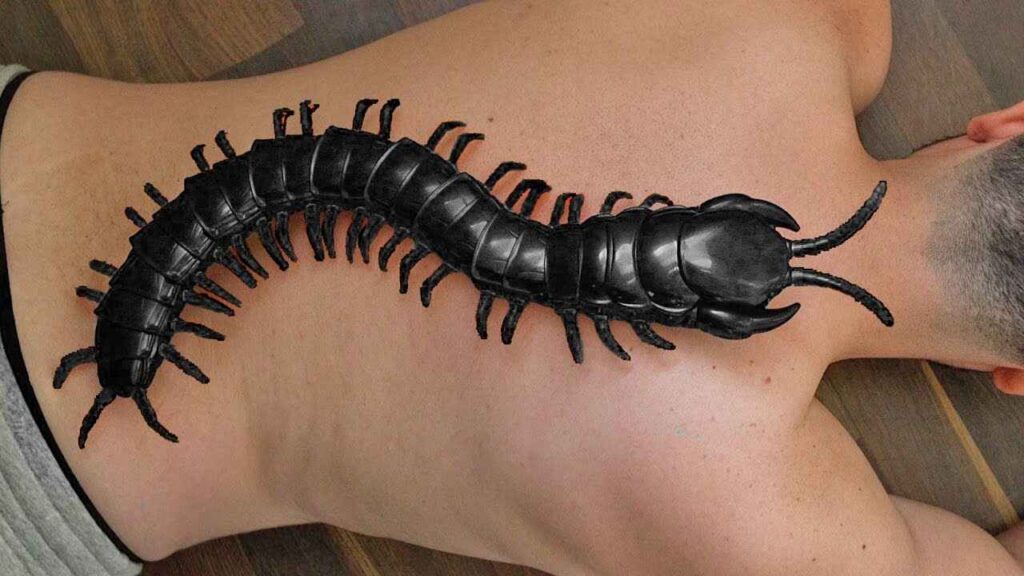Centipede tattoo on back by maestro tattoo
