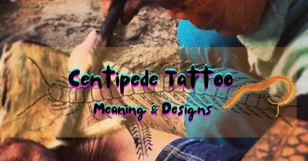 image of Centipede Tattoo Meaning & Designs