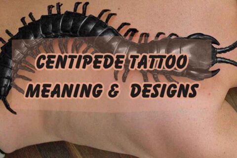 Feature image of Centipede Tattoo Meaning & Designs