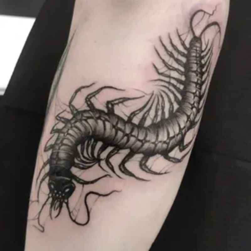 Neo Traditional centipede tattoo image