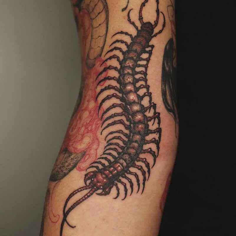 picture of centipede tattoo on arm
