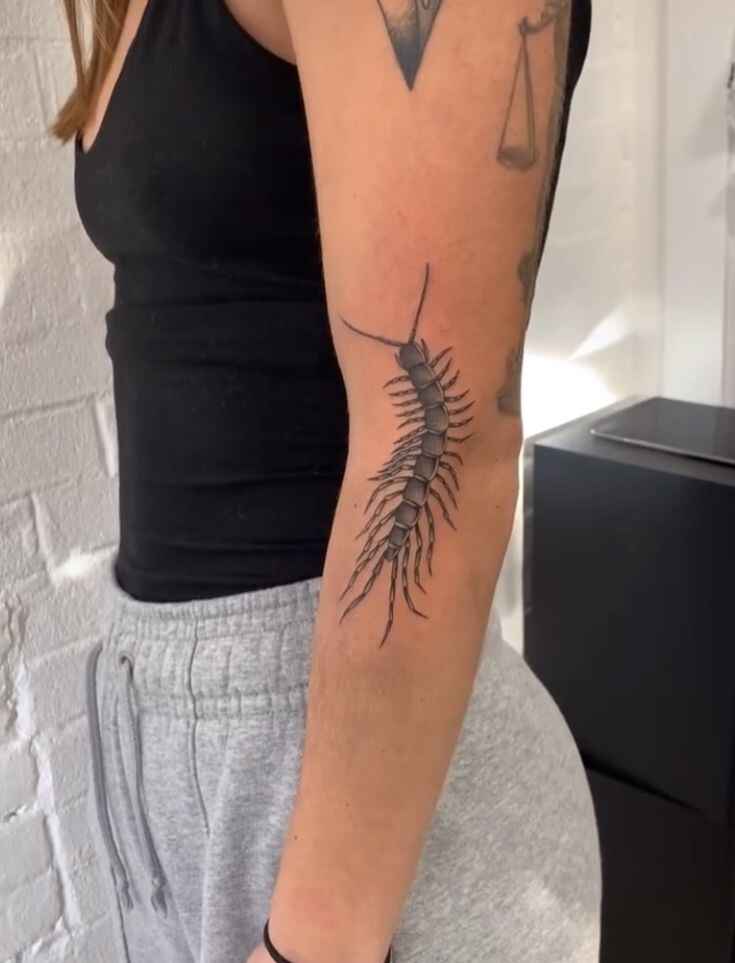 picture of centipede tattoo on arm
