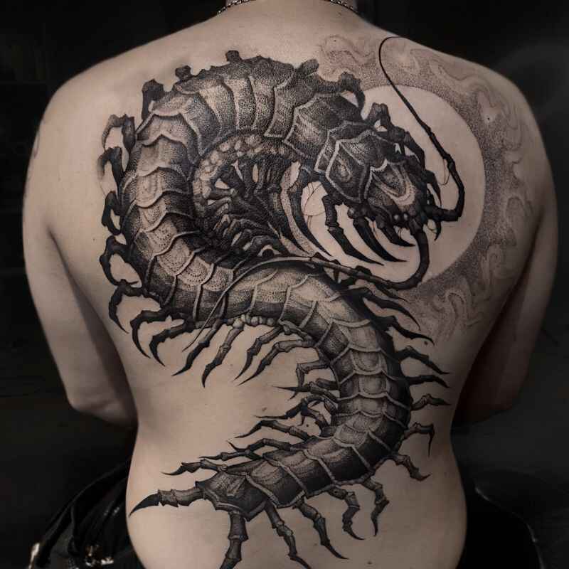 Centipede tattoo on Back image