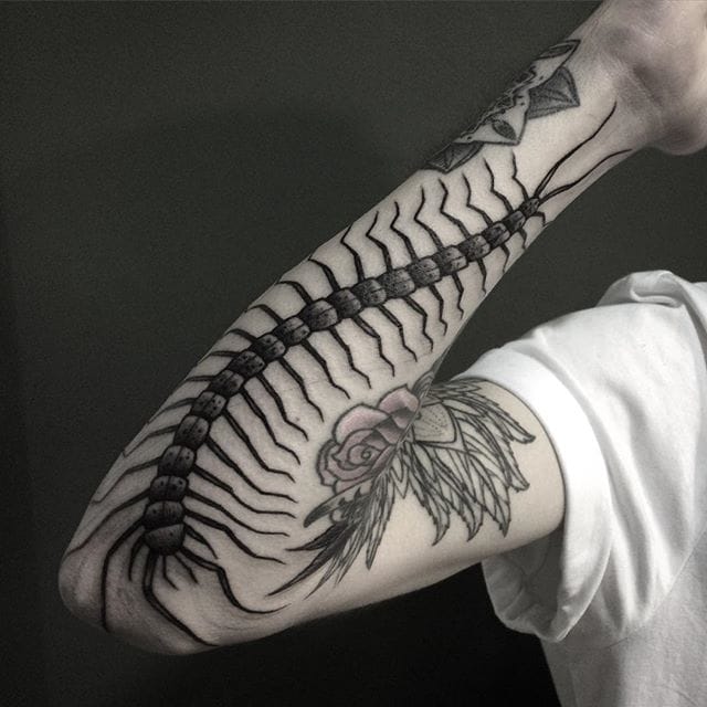 Centipede tattoo picture