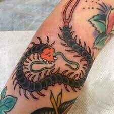 Japanese Centipede Tattoo image