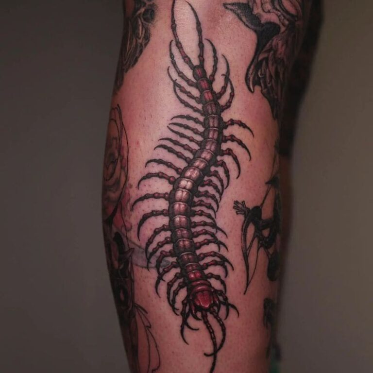 Centipede Tattoo Meaning & 100+ Amazing Designs