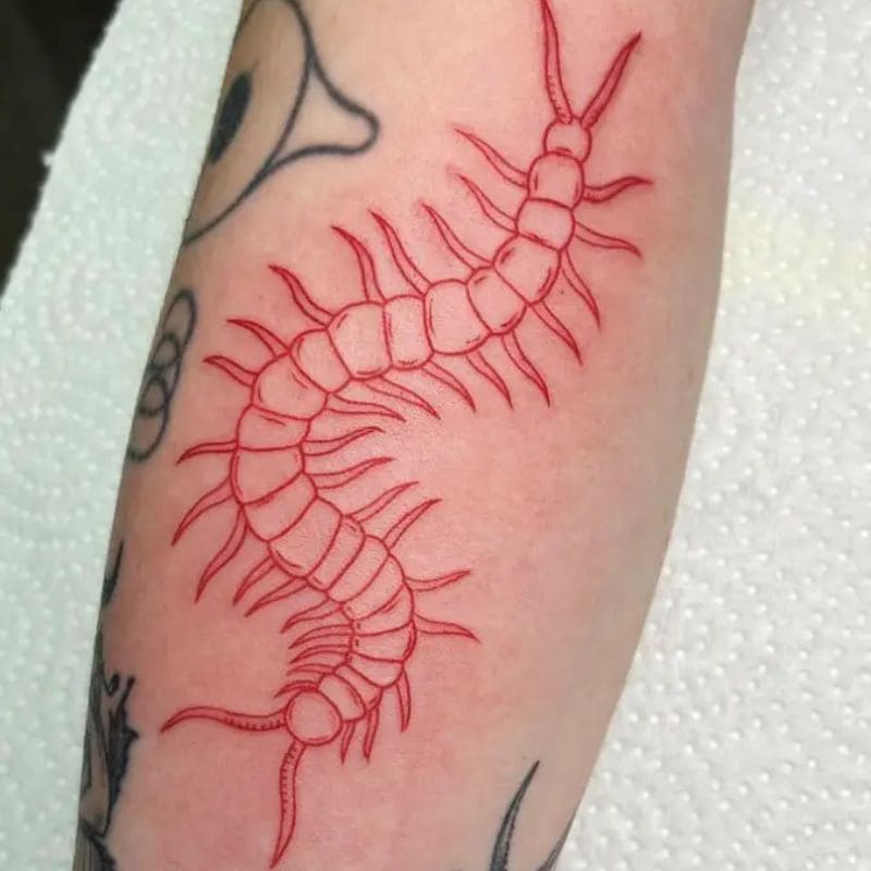 Centipede Leg Tattoo image