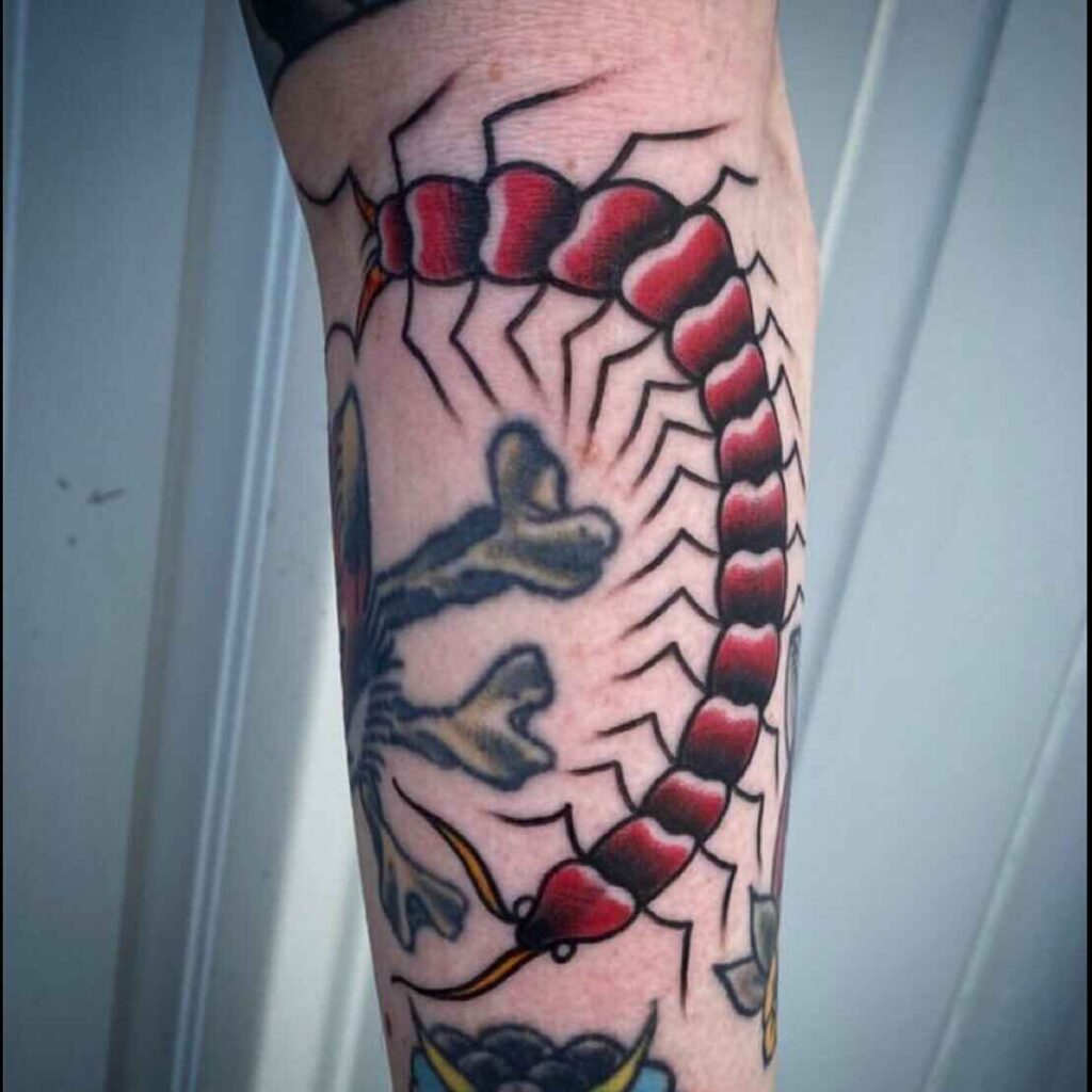 Neo Traditional centipede tattoo image