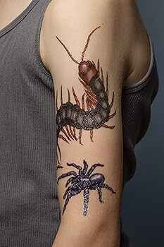 simple realistic centipede tattoo image