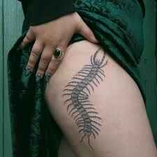 Thigh Centipede Tattoo image