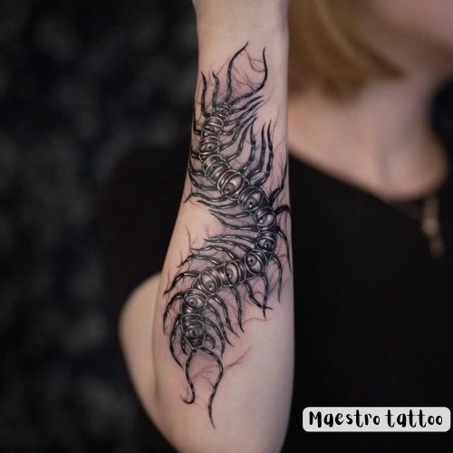 tribal centipede tattoo image