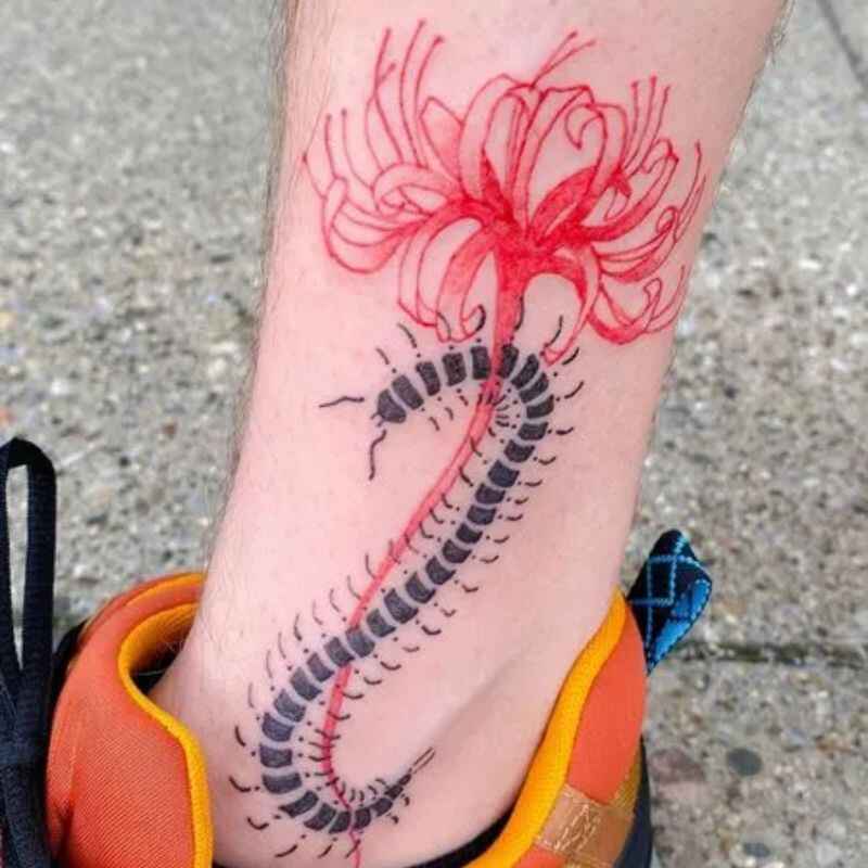 Watercolor centipede tattoo image